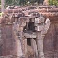 IMG_7536.JPG