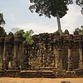IMG_7547.JPG