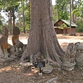 IMG_7574.JPG