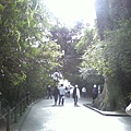 14Day4城山公園03.jpg