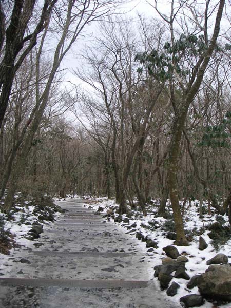 漢拏山-是真的雪喔.JPG