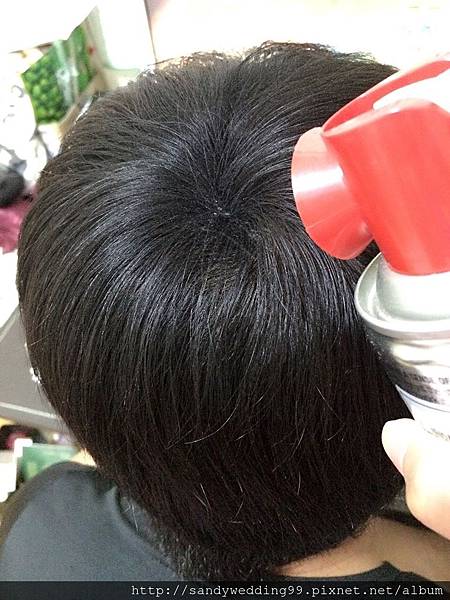 纖維粉_1855.jpg 纖維粉_1855.jpg