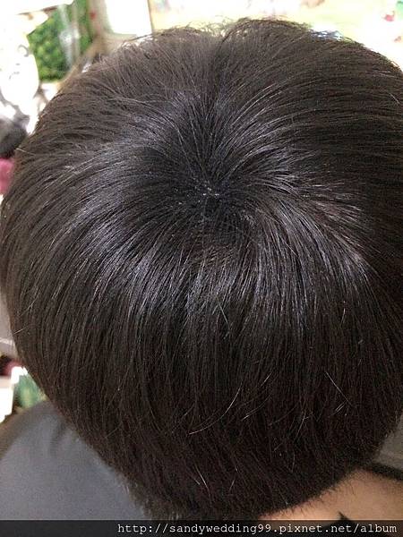 纖維粉_3382.jpg 纖維粉_3382.jpg