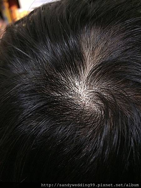 纖維粉_3876.jpg 纖維粉_3876.jpg