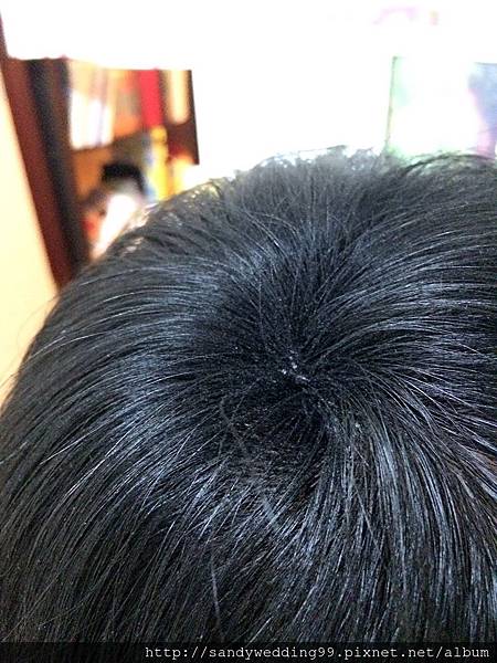 纖維粉_8355.jpg 纖維粉_8355.jpg