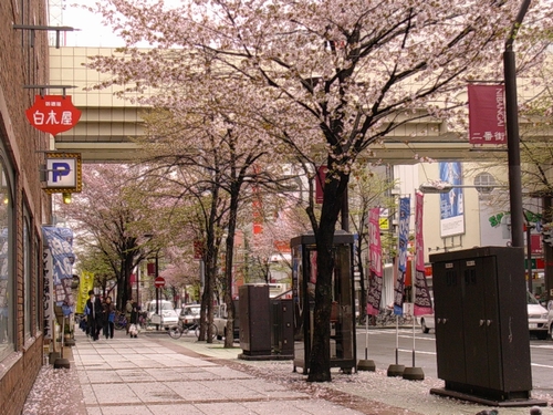 狸小路附近的街景