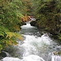 Vintgar Gorge