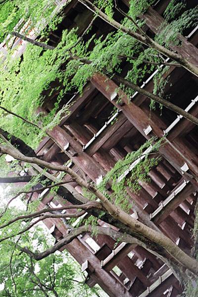 清水寺凌空駕立在山邊崖上的木造殿廊