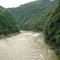 嵯峨小火車風景