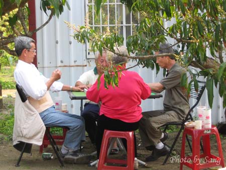 發揚國粹中