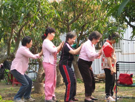 太極運動時間