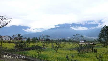 花蓮綠野香坡