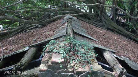 安平樹屋