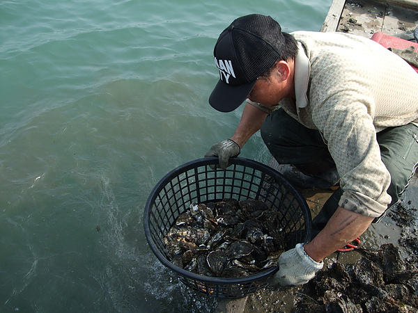 用純海水清洗