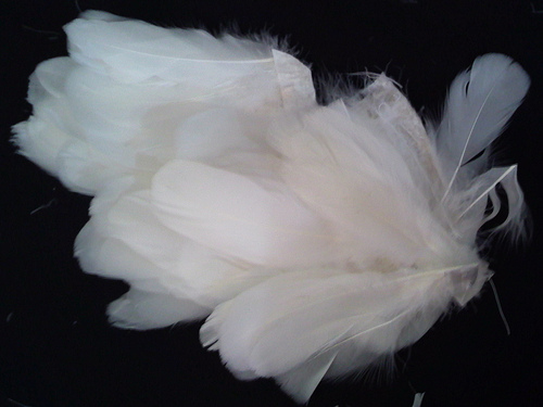 20090901 02.jpg 20090901 02.jpg