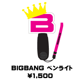 100126_penlight.gif