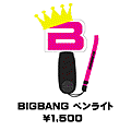 100126_penlight.gif