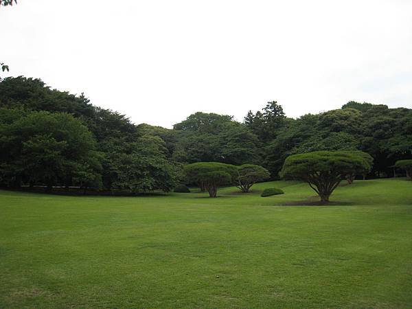 0030.JPG 0030.JPG