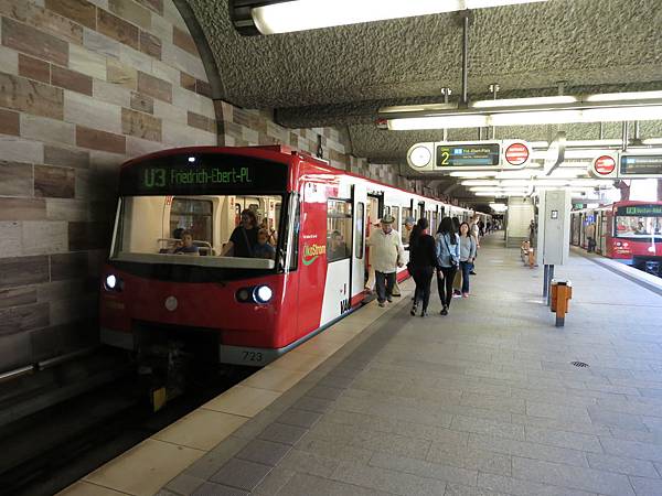 IMG_5315-3 IMG_5315-3