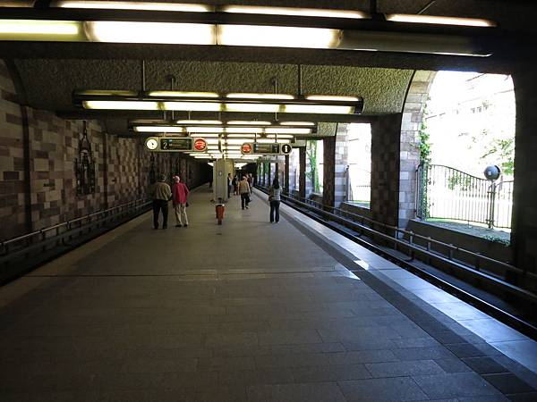 IMG_5316-3 IMG_5316-3