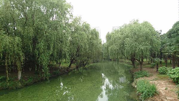 DSC_0366.JPG DSC_0366.JPG