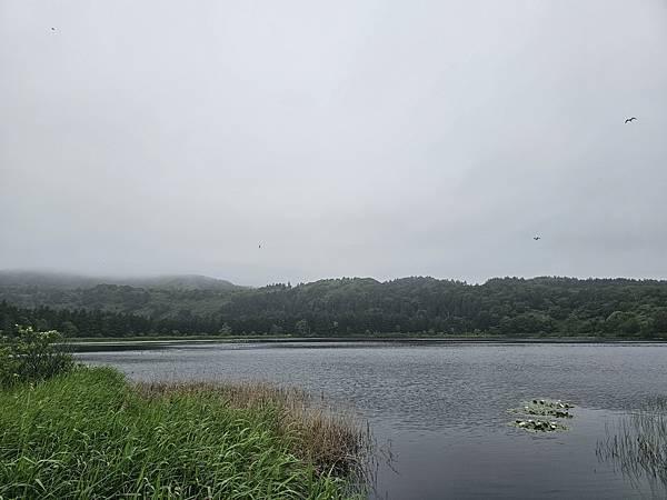 Day2-2 道北的離島 - 自駕利尻一周順便挖海膽去 Day2-2 道北的離島 - 自駕利尻一周順便挖海膽去