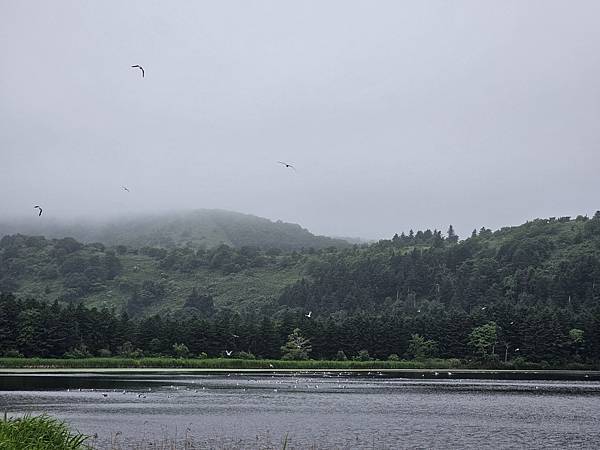 Day2-2 道北的離島 - 自駕利尻一周順便挖海膽去 Day2-2 道北的離島 - 自駕利尻一周順便挖海膽去
