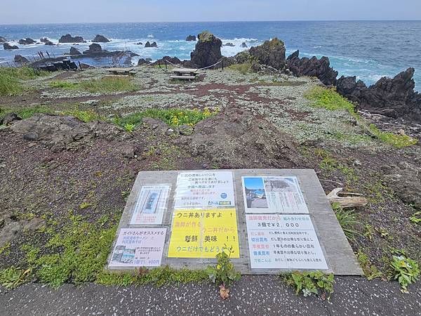 Day2-2 道北的離島 - 自駕利尻一周順便挖海膽去 Day2-2 道北的離島 - 自駕利尻一周順便挖海膽去