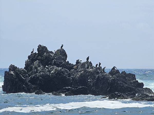 Day2-2 道北的離島 - 自駕利尻一周順便挖海膽去 Day2-2 道北的離島 - 自駕利尻一周順便挖海膽去