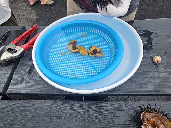 Day2-2 道北的離島 - 自駕利尻一周順便挖海膽去 Day2-2 道北的離島 - 自駕利尻一周順便挖海膽去