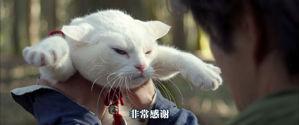 [J.X%26;WiKi]The.Cat.Samurai.Goes.to.Southern.Island.2015.1080p.BluRay.x264.10bit_20160401213616.BMP