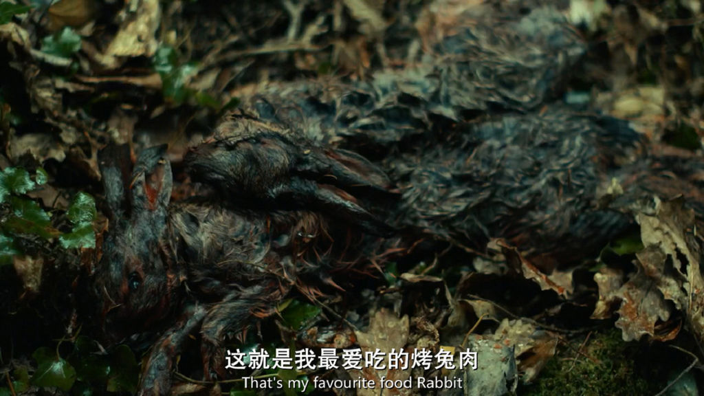 龙虾.The.Lobster.2015.HD720P.X264.AAC.English.CHS-ENG.Mp4Ba_20160407175653.BMP