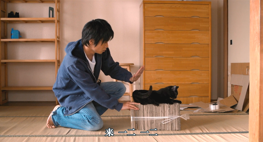 [J.X%26;WiKi]Cats.Don%5Ct.Come.When.You.Call.2016.1080p.BluRay.x264.10bit.DTS_20161019143854.PNG