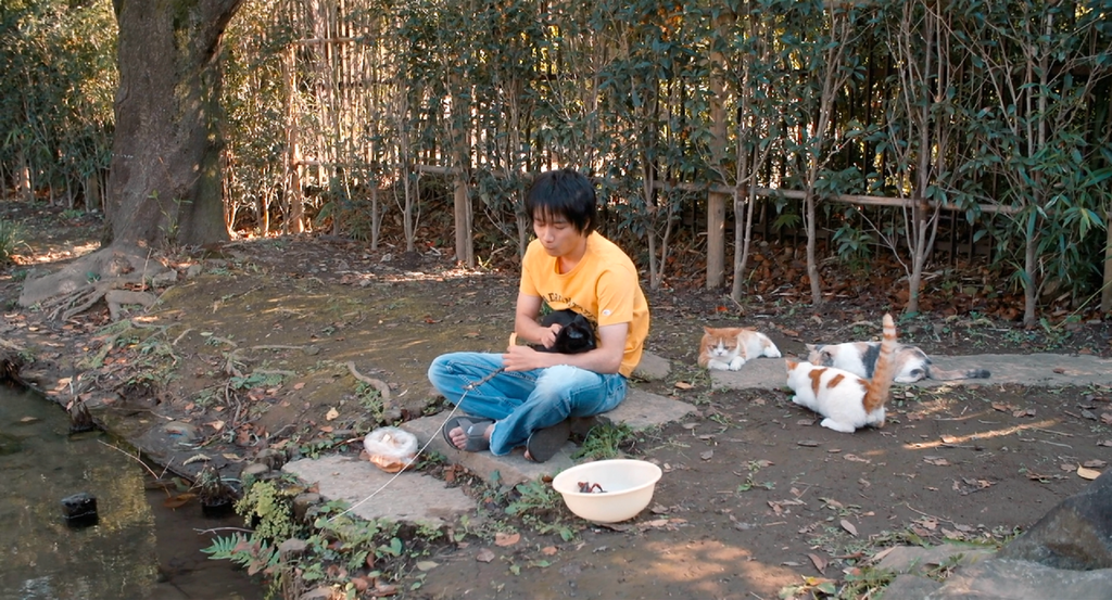 [J.X%26;WiKi]Cats.Don%5Ct.Come.When.You.Call.2016.1080p.BluRay.x264.10bit.DTS_20161019160945.PNG