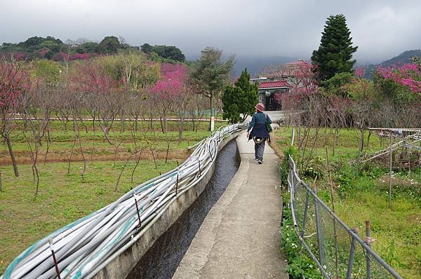 B09-IMGP5821-十八挖水圳步道潺潺流水.JPG