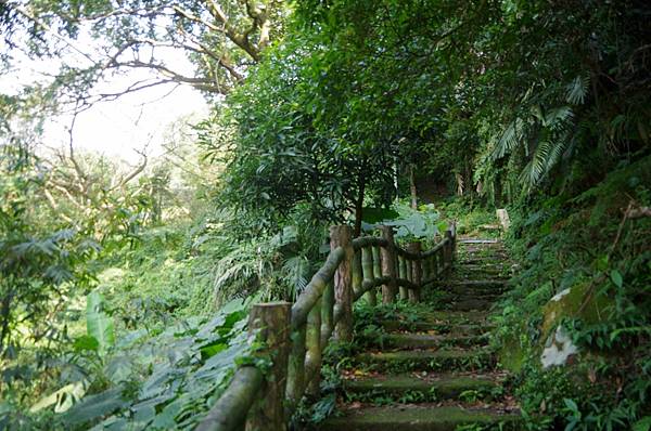 B25-IMGP5874-龍鳳谷內陳家民宅後方山坡步道.JPG