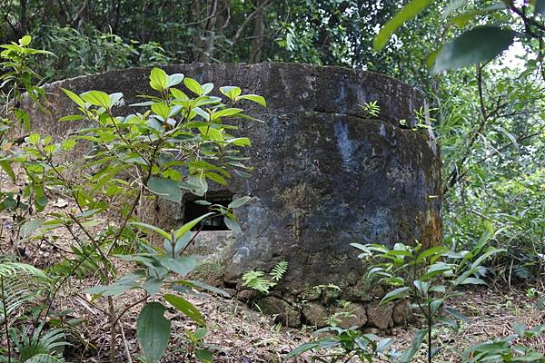 B36-DSC_8289-從劍潭山三等三角點下來陡坡旁碉堡.JPG