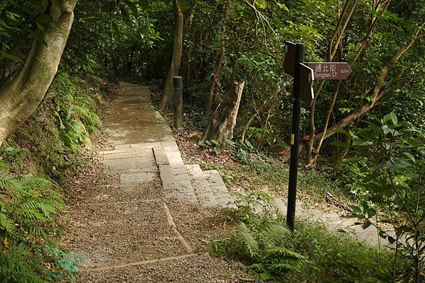 B49-DSC_1931-往捷運劍南路站親山步道中途右轉通北街方向.JPG