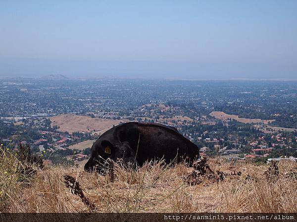 Mission Peak