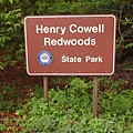 Henry Cowell Redwoods SP
