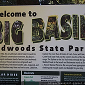 Big Basin Redwoods SP