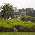 Golden Gate Park