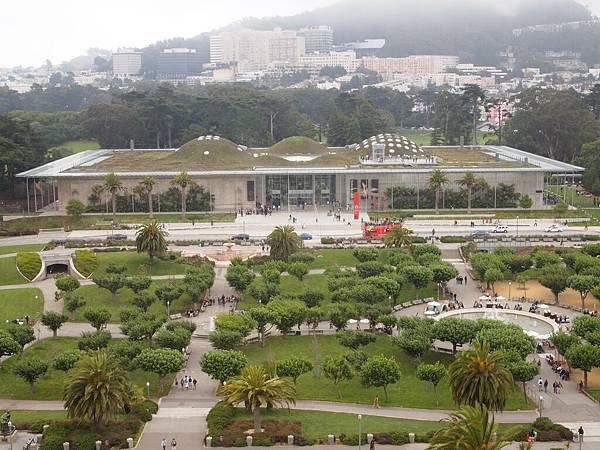 De Young Museum