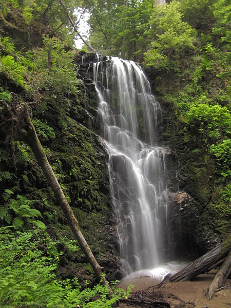 Berry Creek Falls in Big Basin