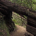 Skyline-to-the-Sea Trail  in Big Basin