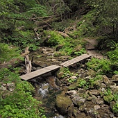 West Waddell Creek in Big Basin