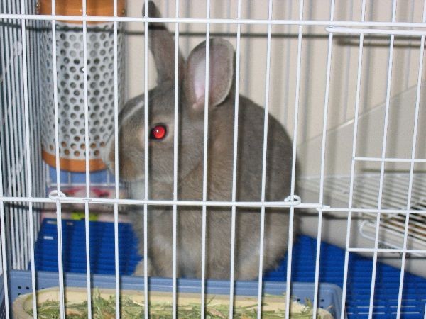 嗚 不乖被媽咪關起來了 面壁思過中