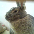 DSC00024.JPG