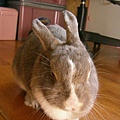 SANY0020.JPG