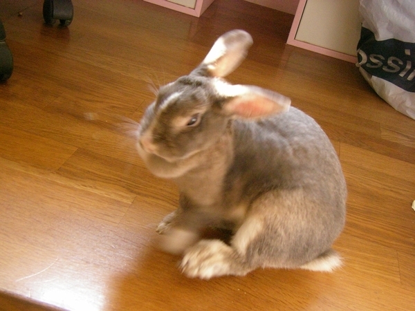 SANY0042.JPG